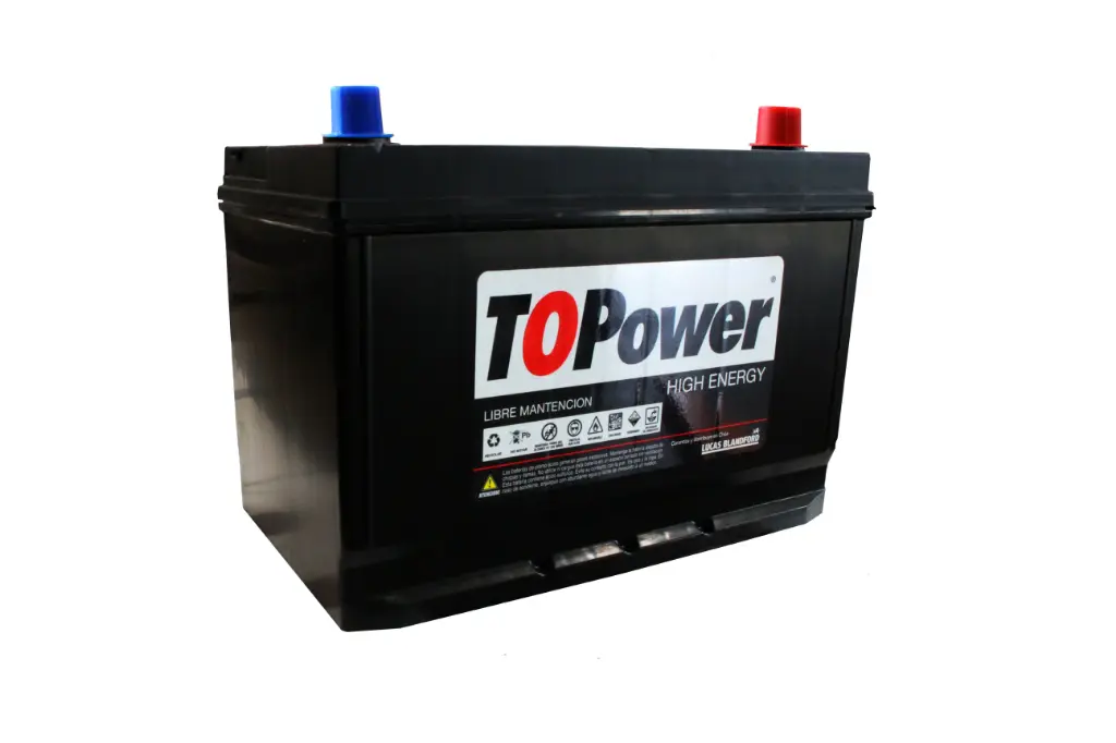 TOPOWER 100 AMP BORNE STD